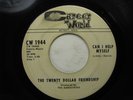 TWENTY DOLLAR FRIENDSHIP on CAREER WORLD Rare Detroit Sweet Soul 45 HEAR