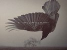 KATATONIA**FALL OF HEARTS (180 G/WITH DOWNLOAD/GATEFOLD)**2 VINYL SET