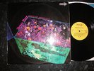 RARE 60s PSYCH LP Fever Tree 