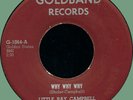 LITTLE RAY CAMPBELL Why Why Why / I'm All Alone 45rpm Goldband 1958 swamp R&B