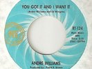 ANDRE WILLIAMS You Got It And I Want It  RIC TIC DETROIT  NORTHERN SOUL 45