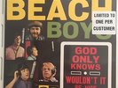 The Beach Boys 