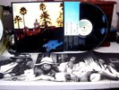 The Eagles Hotel California LP Vinyl Is EX Complete W/ Poster Victim of Love