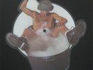 AC/DC: You shook me all night long / She's got balls (Live) Shaped Picture Disc