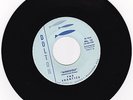 THE FRANTICS 45 rpm record WEREWOLF .... NEAR MINT .... NORTHWEST CLASSIC