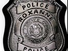 POLICE ROXANNE/CAN'T STAND LOSING YOU BAGDE SHAPED RARE Vinyl Picture Disc