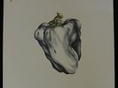 Ween – White Pepper LP