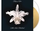KINGS OF LEON 2X 12