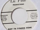 MACK RICE-BABY I'M COMING HOME /MY BABY - WLP ON LU PINE R&B NORTHERN 45