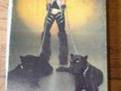KISS - RARE -  PUZZLE PETER CRISS - 200 PIECES