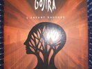 Gojira, L'Enfant Sauvage Vinyl Double LP, Germany Import, Roadrunner, 2012