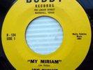 JOE RICHIE 1962 teen bopper 45 MY MIRIAM I DON'T GIVE on BUDDY records  e7996