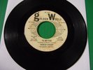 NORTHERN SOUL 45  THERESA LINDSEY  