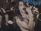 Screaming Life/Fopp - 2 DISC SET - Soundgarden (2013, Vinyl NEW)