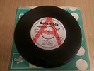 The Robb Storme Group ?– Here Today / But Cry  Columbia PROMO
