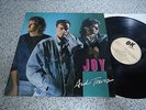 Vinyl LP JOY - JOY AND TEARS original 1986 Italo Disco