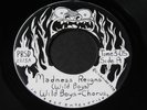 Wild Boys   Madness Reigns   Insect   Michigan weird garage psych rock 45 HEAR