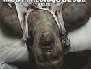 New Music Most Precious Blood 