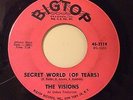 45rpm THE VISIONS Secret World (of tears)/Swingin Wedding Bigtop 3119