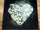 Alkaline Trio - This Addiction (LP, Vinyl)