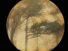 Berkana - Golden Void (2015, Vinyl New)