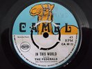 THE FEDERALS - IN THIS WORLD - CAMEL