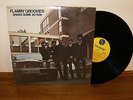 The FLAMIN' GROOVIES - Shake Some Action (1976 Original Vinyl LP)