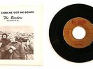 The Benders - Can't Tame Me - rare 45RPM record with picture sleeve 1966 classic