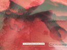 Peter Gabriel Scratch My Back  Classic Records LP