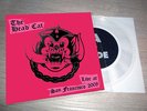 THE HEAD CAT - Live at San Francisco 2008, CLEAR 7