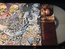 Pig Destroyer Phantom Limb LP Clear /100 VG Condition