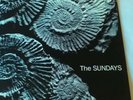 The Sundays : Reading, Writng and Arithmetic - 1990 Vinyl - Rough Trade