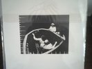 CAPTAIN BEEFHEART - CLEAR SPOT -V1972 VINYL LP - UK 1st  PRESS MINT/EXC