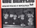 Beatles US 45 How Do You Do It / Revolution with Picture Sleeve Blue Vinyl