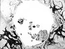Radiohead: A Moon Shaped Pool White Indie Exclusive Vinyl LP/9000. OK Computer.