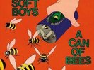A Can of Bees by The Soft Boys.