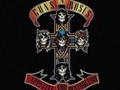 Guns N' Roses ?– Appetite For Destruction (2008)  Vinyl LP  NEW  SPEEDYPOST