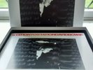 David Bowie Station To Station Super Deluxe Edition vinyl Box. 3 LP, 5 CD set