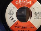 Frankie and the Classicals . What shall I do . Rare Demo Copy .