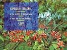 V/ A-RIMSKY-KORSAKOV/CAPRICCIO ESPAGNOL-VINYL LP HI-Q RECORDS NEU