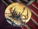 SCORPIONS - Lonesome Crow  UK Rock LP NrMINT- 1982 Pic Disc RARE