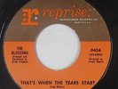 Northern Soul 45 - Blossoms - That's When The Tears Start - Reprise - mp3
