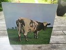 Pink Floyd - ATOM HEART MOTHER - HÖRZU 1970 HARVEST SHZE297   SEHR GUTER ZUSTAND