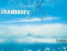 Grandaddy - Sumday
