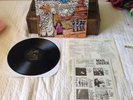 Offenders Endless Struggle LP RARE 1ST PRESS vinyl Black Flag Scratch Acid PUNK