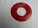 RARE ROCK & ROLL THE ROBINS 
