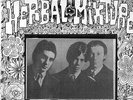 Herbal Mixture – Please Leave My Mind LP-TEST PRESS Vinyl-Alternative Cover  60s