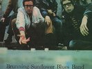 Brunning Sunflower Blues Band - 'Bullen St.Blues' 1968 UK Saga LP. Ex