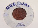 Wayne wade-lady in NM  45RPM