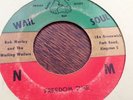 Bob Marley & the wailers-this train/freedom time in vg plays clean 45RPM